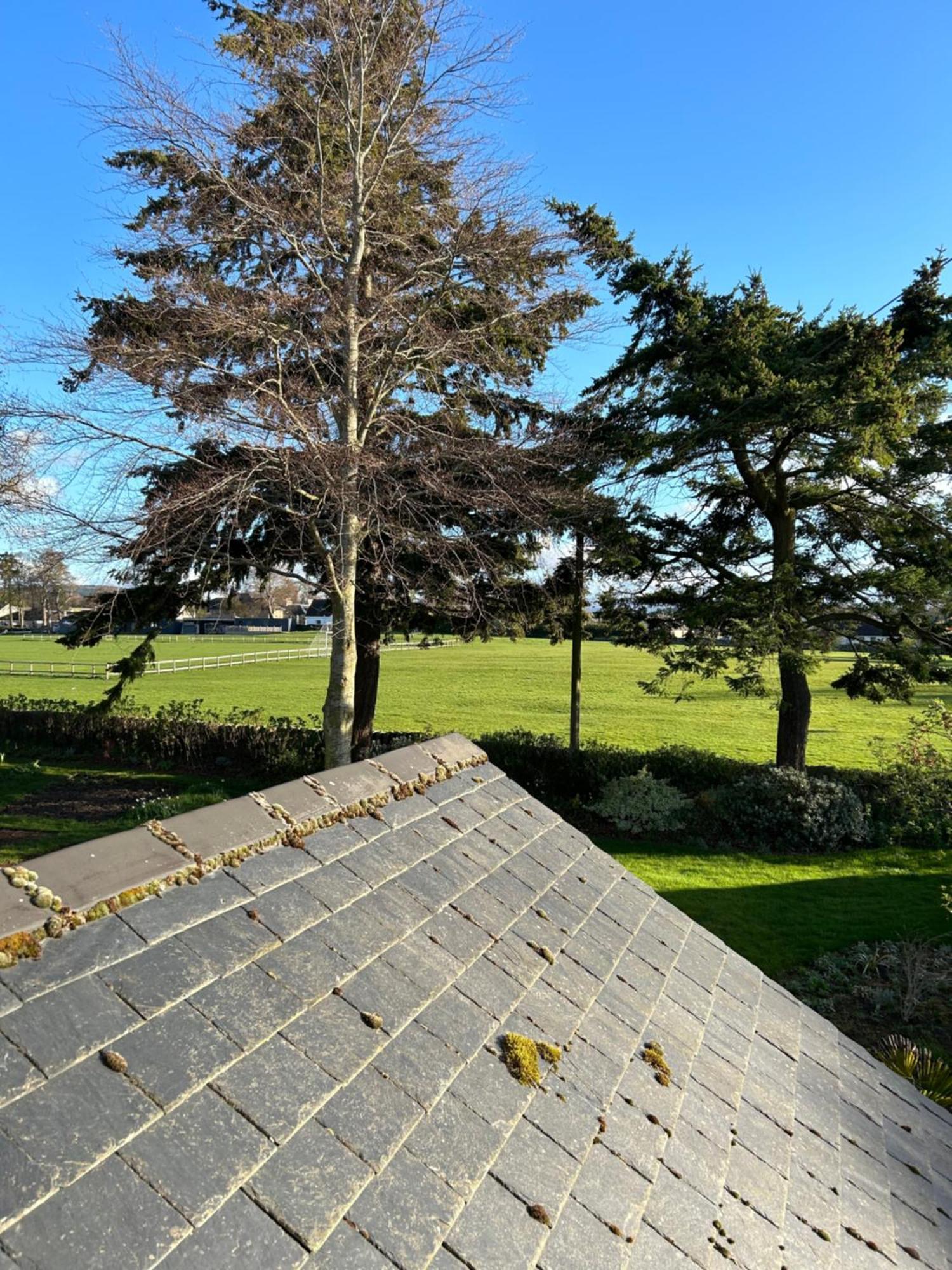 Glen Lyon Lodge Bed And Breakfast ネアン エクステリア 写真